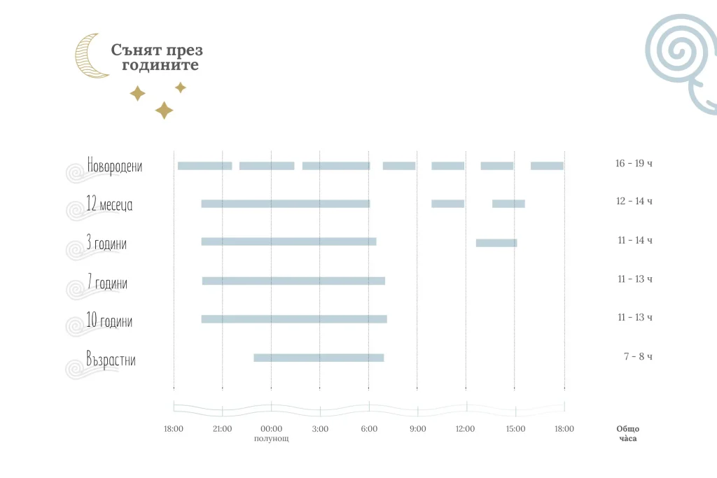 child sleep timeline